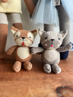 Baby Blue French Bulldog