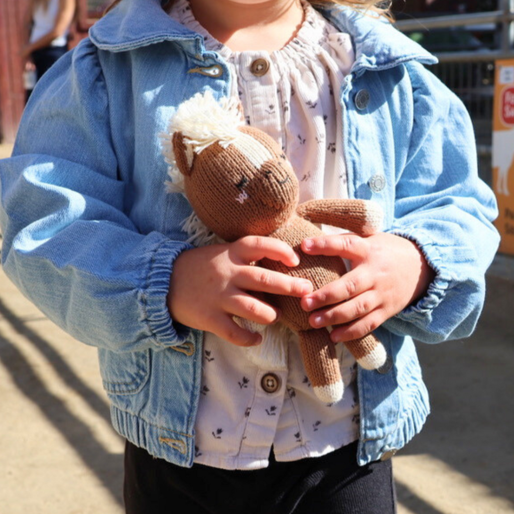 Baby Horse