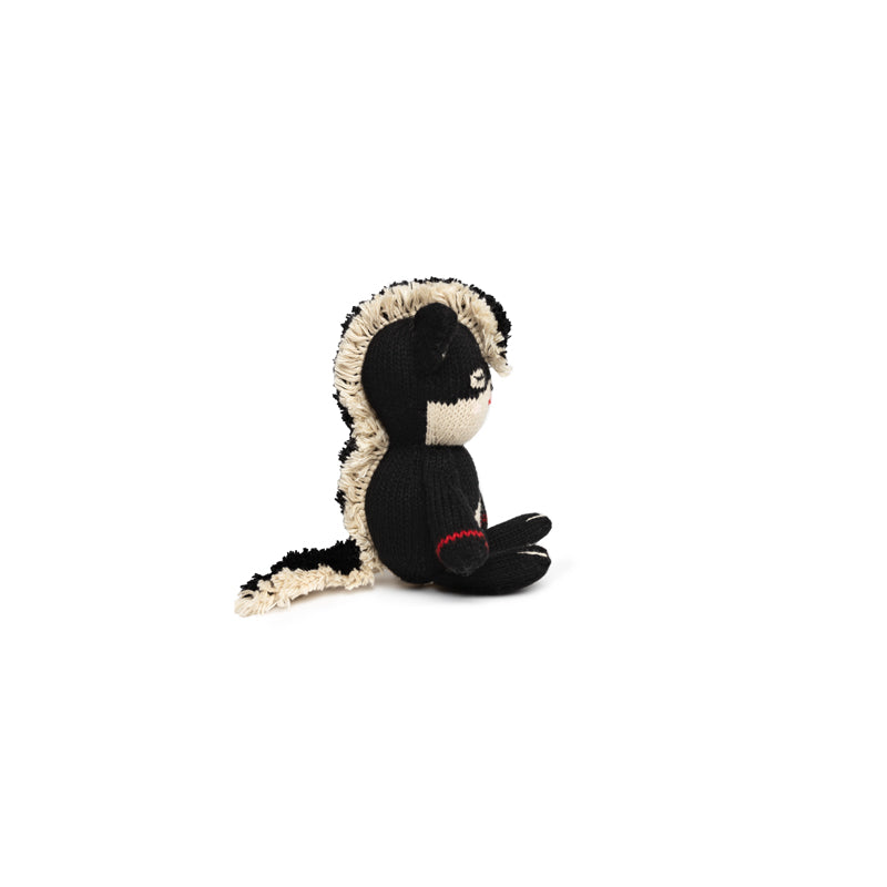 Baby Skunk